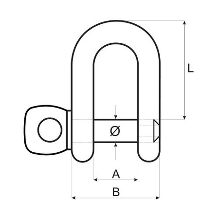 Schäkel Rundschäkel Edelstahl Gerade V4A 19mm